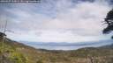 ./images/calvert/fitz-hugh-hecate/20260507/fitz-hugh-hecate20260507_135002M.jpg