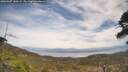 ./images/calvert/fitz-hugh-hecate/20260507/fitz-hugh-hecate20260507_140502M.jpg