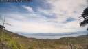./images/calvert/fitz-hugh-hecate/20260507/fitz-hugh-hecate20260507_141002M.jpg