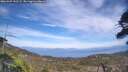 ./images/calvert/fitz-hugh-hecate/20260507/fitz-hugh-hecate20260507_151501M.jpg