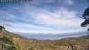 ./images/calvert/fitz-hugh-hecate/20260507/fitz-hugh-hecate20260507_152501M.jpg