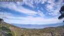 ./images/calvert/fitz-hugh-hecate/20260507/fitz-hugh-hecate20260507_155002M.jpg