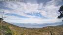 ./images/calvert/fitz-hugh-hecate/20260507/fitz-hugh-hecate20260507_160001M.jpg