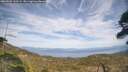 ./images/calvert/fitz-hugh-hecate/20260507/fitz-hugh-hecate20260507_160501M.jpg