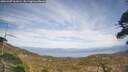 ./images/calvert/fitz-hugh-hecate/20260507/fitz-hugh-hecate20260507_161502M.jpg