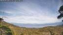 ./images/calvert/fitz-hugh-hecate/20260507/fitz-hugh-hecate20260507_162001M.jpg