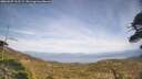 ./images/calvert/fitz-hugh-hecate/20260507/fitz-hugh-hecate20260507_162501M.jpg