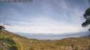 ./images/calvert/fitz-hugh-hecate/20260507/fitz-hugh-hecate20260507_163001M.jpg