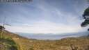 ./images/calvert/fitz-hugh-hecate/20260507/fitz-hugh-hecate20260507_163502M.jpg
