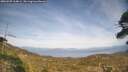 ./images/calvert/fitz-hugh-hecate/20260507/fitz-hugh-hecate20260507_164001M.jpg