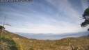 ./images/calvert/fitz-hugh-hecate/20260507/fitz-hugh-hecate20260507_164501M.jpg