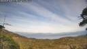 ./images/calvert/fitz-hugh-hecate/20260507/fitz-hugh-hecate20260507_165501M.jpg