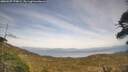 ./images/calvert/fitz-hugh-hecate/20260507/fitz-hugh-hecate20260507_170001M.jpg