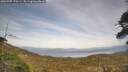 ./images/calvert/fitz-hugh-hecate/20260507/fitz-hugh-hecate20260507_170501M.jpg