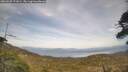 ./images/calvert/fitz-hugh-hecate/20260507/fitz-hugh-hecate20260507_171001M.jpg