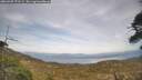 ./images/calvert/fitz-hugh-hecate/20260507/fitz-hugh-hecate20260507_171501M.jpg