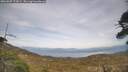 ./images/calvert/fitz-hugh-hecate/20260507/fitz-hugh-hecate20260507_172001M.jpg