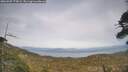 ./images/calvert/fitz-hugh-hecate/20260507/fitz-hugh-hecate20260507_175001M.jpg