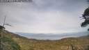 ./images/calvert/fitz-hugh-hecate/20260507/fitz-hugh-hecate20260507_181001M.jpg