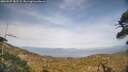 ./images/calvert/fitz-hugh-hecate/20260507/fitz-hugh-hecate20260507_182501M.jpg
