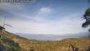 ./images/calvert/fitz-hugh-hecate/20260507/fitz-hugh-hecate20260507_183001M.jpg