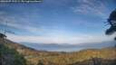 ./images/calvert/fitz-hugh-hecate/20260507/fitz-hugh-hecate20260507_192501M.jpg