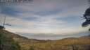 ./images/calvert/fitz-hugh-hecate/20260507/fitz-hugh-hecate20260507_194001M.jpg