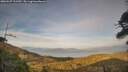 ./images/calvert/fitz-hugh-hecate/20260507/fitz-hugh-hecate20260507_195501M.jpg