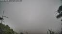 ./images/calvert/fitz-hugh-hecate/20260508/fitz-hugh-hecate20260508_070001M.jpg