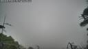 ./images/calvert/fitz-hugh-hecate/20260508/fitz-hugh-hecate20260508_072002M.jpg