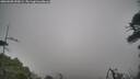 ./images/calvert/fitz-hugh-hecate/20260508/fitz-hugh-hecate20260508_090002M.jpg
