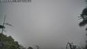 ./images/calvert/fitz-hugh-hecate/20260508/fitz-hugh-hecate20260508_095001M.jpg
