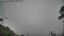 ./images/calvert/fitz-hugh-hecate/20260508/fitz-hugh-hecate20260508_100001M.jpg