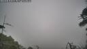 ./images/calvert/fitz-hugh-hecate/20260508/fitz-hugh-hecate20260508_102501M.jpg