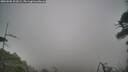 ./images/calvert/fitz-hugh-hecate/20260508/fitz-hugh-hecate20260508_103002M.jpg