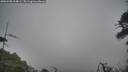 ./images/calvert/fitz-hugh-hecate/20260508/fitz-hugh-hecate20260508_104001M.jpg