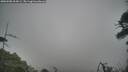 ./images/calvert/fitz-hugh-hecate/20260508/fitz-hugh-hecate20260508_104501M.jpg