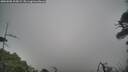 ./images/calvert/fitz-hugh-hecate/20260508/fitz-hugh-hecate20260508_105001M.jpg