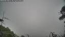 ./images/calvert/fitz-hugh-hecate/20260508/fitz-hugh-hecate20260508_105501M.jpg