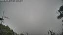 ./images/calvert/fitz-hugh-hecate/20260508/fitz-hugh-hecate20260508_110001M.jpg