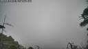 ./images/calvert/fitz-hugh-hecate/20260508/fitz-hugh-hecate20260508_110502M.jpg