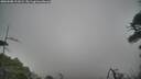 ./images/calvert/fitz-hugh-hecate/20260508/fitz-hugh-hecate20260508_111002M.jpg
