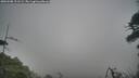 ./images/calvert/fitz-hugh-hecate/20260508/fitz-hugh-hecate20260508_111501M.jpg