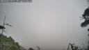 ./images/calvert/fitz-hugh-hecate/20260508/fitz-hugh-hecate20260508_112502M.jpg