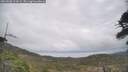 ./images/calvert/fitz-hugh-hecate/20260508/fitz-hugh-hecate20260508_114501M.jpg