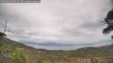 ./images/calvert/fitz-hugh-hecate/20260508/fitz-hugh-hecate20260508_135501M.jpg