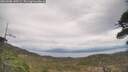 ./images/calvert/fitz-hugh-hecate/20260508/fitz-hugh-hecate20260508_140501M.jpg