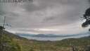 ./images/calvert/fitz-hugh-hecate/20260508/fitz-hugh-hecate20260508_160002M.jpg