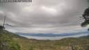 ./images/calvert/fitz-hugh-hecate/20260508/fitz-hugh-hecate20260508_173001M.jpg