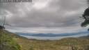 ./images/calvert/fitz-hugh-hecate/20260508/fitz-hugh-hecate20260508_174001M.jpg